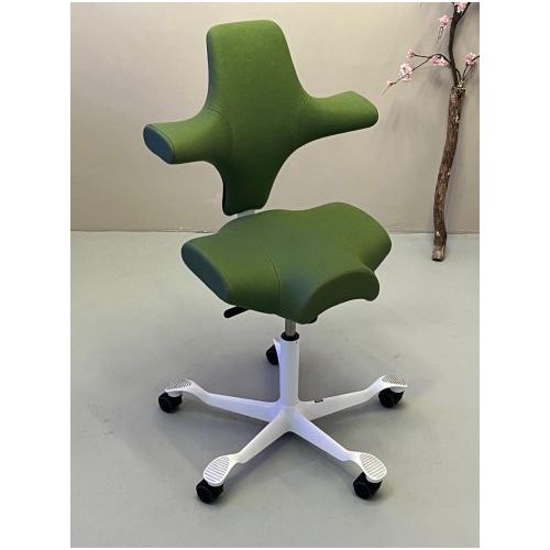 HAG Capisco Green Studio (2ekans)