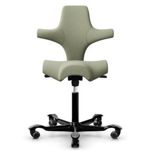 HAG Capisco Moss Dark