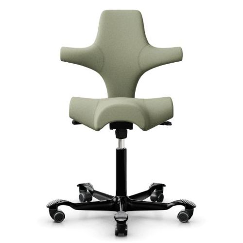 HAG Capisco Moss Dark