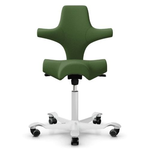 HAG Capisco Green