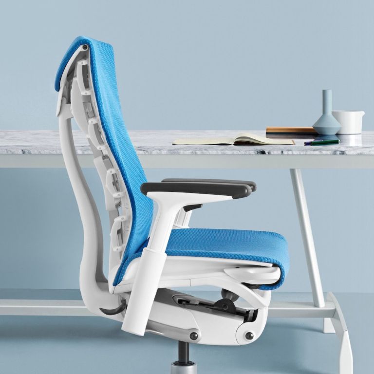 Herman Miller Embody: Embody Pixelated Support