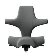 HAG Capisco Grey Edition