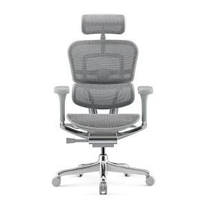 Comfort Ergohuman Elite G2 Grey Frame 