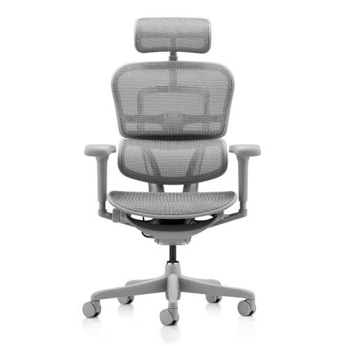 Comfort Ergohuman Ultra Grey Edition