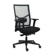 ChairExpress ErgoNetic Mesh