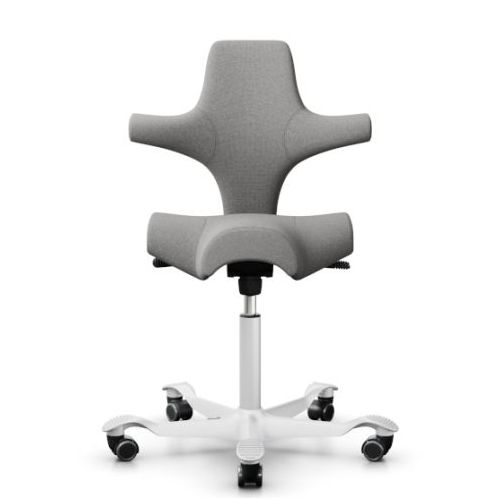 HAG Capisco Grey Edition