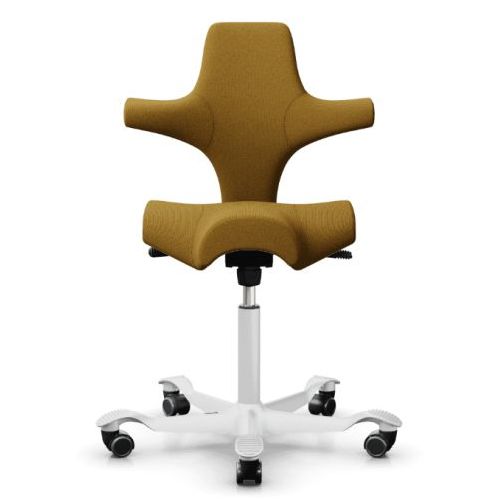 HAG Capisco Trend Studio