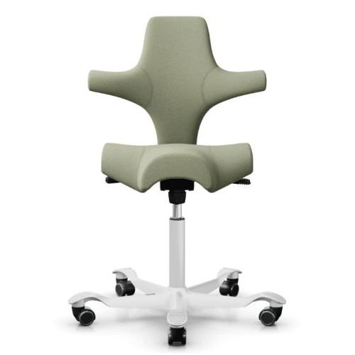 HAG Capisco Moss Studio