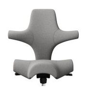 HAG Capisco Grey Edition