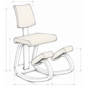 Varier Variable Plus Standaardmodel