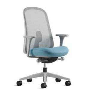 Herman Miller Lino Mineral Frame 
