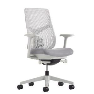 Herman Miller Verus TriFlex Mineral Frame 